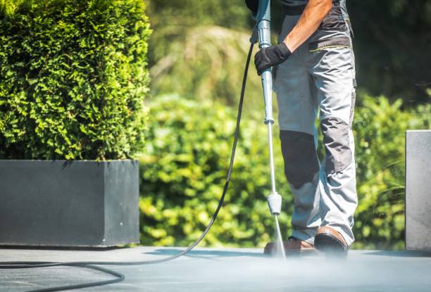 Best Animal Enclosure Cleaning  in Walnut Cove, NC