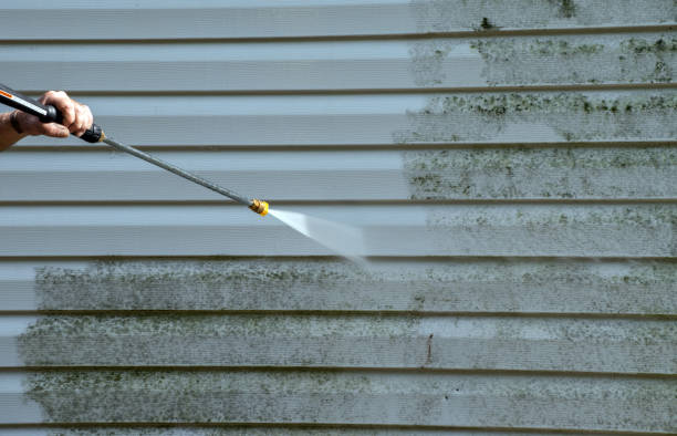 Best Factory Floor Cleaning  in Walnut Cove, NC