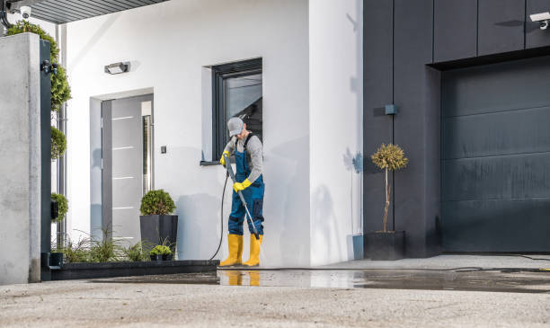 Best Fleet Vehicle Washing  in Walnut Cove, NC